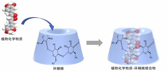 羥丙基 倍他環(huán)糊精 HPBCD