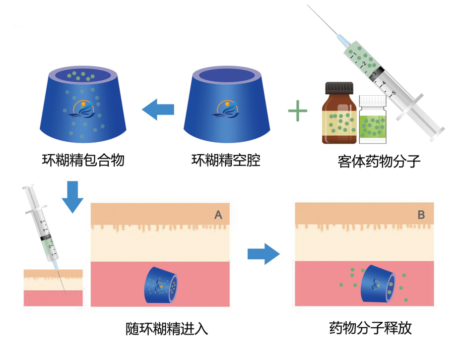 API制藥家線上課程-環(huán)糊精衍生物特性及其在藥物中的應(yīng)用(圖3) API制藥家線上課程-環(huán)糊精衍生物特性及其在藥物中的應(yīng)用(圖3)